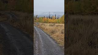 Country Roads! Even in the cold drizzle it was an incredible hike.#countryroads