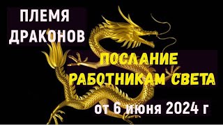 Коллектив: Послание Работникам Света –  от 6 июня 2024 г.