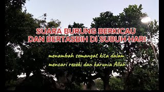 Suara burung di subuh hari#suaraburung