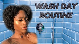 WASH DAY ROUTINE! | TYPE 4 NATURAL HAIR