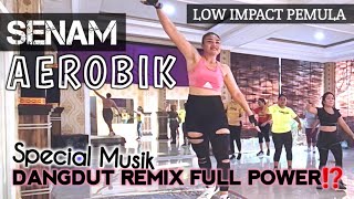 Senam aerobik low impact pemula |  Special Musik dangdut remix full power⁉️ @LiaMarliaChannel