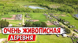 440. Деревня Поречье Омская область. Красивые места, но много пустых домов. Неужели деревня умирает?