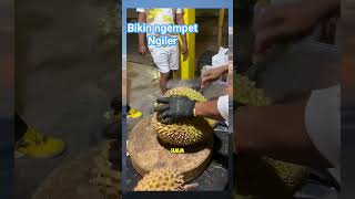 Durian Emang Moix ‼️ enak Coyyy #faktaunik #viralvideo