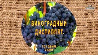 Виноградный дистиллят. Заливка в дубовую бочку.