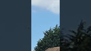 Plane Spotting from my Window | Birmingham Airport | Aeroplane | Aviation