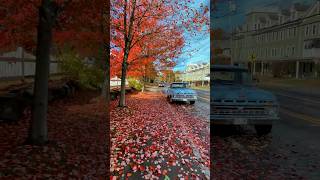 Red Leaves in a Small Town #autumn #countryside #fallfoliage