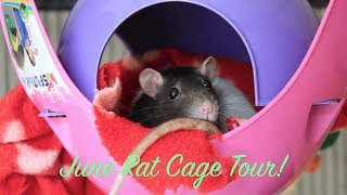 June Rat Cage Tour!