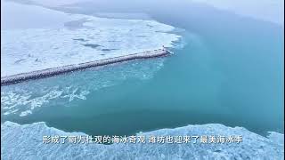 Recently, Weifang ushered in the most beautiful sea ice season