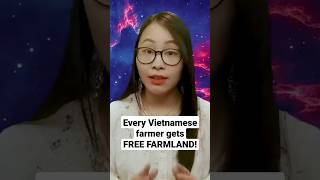 Why Vietnamese farmers get free farmlands - part 2