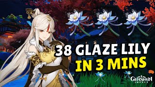 38 GLAZE LILY ROUTE IN 3 MINUTES [FARM FOR NINGGUANG]