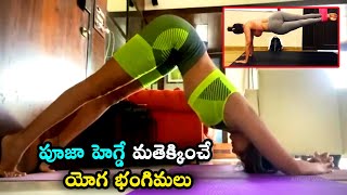 Pooja Hegde Gym Workout Video || Pooja Hegde Latest Videos || #PoojaHegde || #actressgymvideos