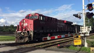 CP Coal train at Fort Langley Airport