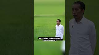 Mengupas Food Estate, Inisiatif Jokowi yang Dikritik PDI-P sebagai Proyek Melanggar Lingkungan