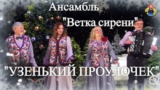 "УЗЕНЬКИЙ ПРОУЛОЧЕК" ( Новогодние песни ) "Ветка сирени" в гостях у "Митрофановны"