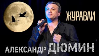 Лирическая песня | Журавли | Русский шансон | Александр Дюмин