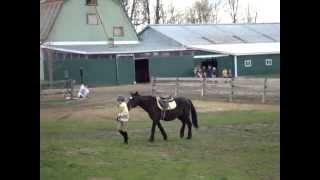 Can-Tucky Derby race!  May 3, 2014 at Honey Dew Acres