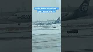 De Icing Airplane Before Takeoff I Snowy Weather Flight I Happy Mom Mariann