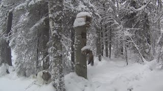 50 дней в тайге Прикамья. Бродяги Севера. Часть 8