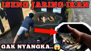 🔴GAK NYANGKA JARING IKAN PINGGIR RUMAH. HASIL NYA LUMAYAN.