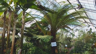 University of Dundee Botanic Garden