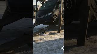 Авто из Японии. Встречаю Honda Freed для заказчика в Красноярске.