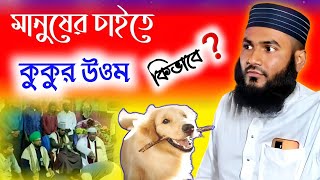 মানুষের চাইতে কুকুর উওম, কিভাবে❓যুক্তি দিয়ে প্রমাণ। Momtajul Islam Jalsa