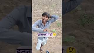 #इतनाबडापक्षी😱#youtubeviral😅#comedy#comedyfilms#youtubetrending#funny#comedymovies#youtubeshorts