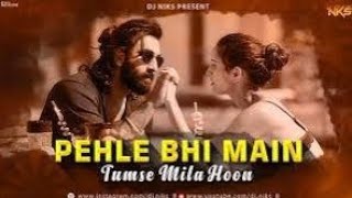 ANIMAL:Pehle Bhi Main(Full Video) | Ranbir Kapoor,Tripti Dimri |Sandeep V |Vishal M,Raj S |Bhushan K