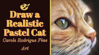 How to Paint a Photo Realistic Cat in Pastels - Includes Some Real Time Footage