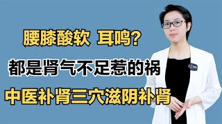 腰膝酸软、耳鸣？都是肾气不足惹的祸，中医补肾三穴滋阴补肾