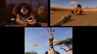 All Three Madagascar Movies At Once