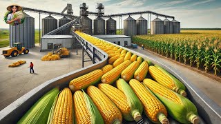 Como Os Agricultores Americanos Colhem 3 Bilhões De Libras De Milho Doce Em Um Ano