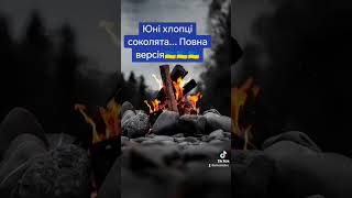 Юні хлопці соколята