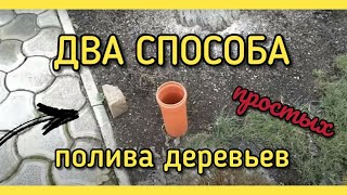 КАК и КОГДА правильно ПОЛИВАТЬ плодовые деревья ЛЕТОМ? ДВА простых способа!