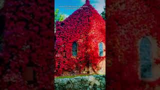 Chapel in Autumn Season