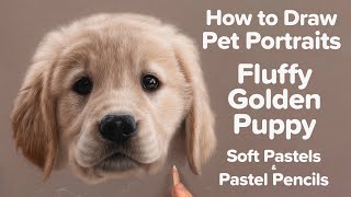 How to Draw Realistic Pet Portraits | Puppy Soft Pastel Tutorial Preview