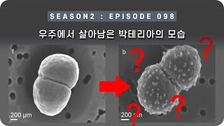 우주 다큐 : ISS의 외부에서 1년 동안 버틴 박테리아의 변화된 모습 [EP 098] - 미노스