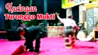 Kucingan Jaranan Turonggo Mukti