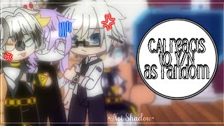 C.AI Reacts To Y/N As Random|Short like Gojo's life😇|B-day special 🤭✨|Gacha Club|