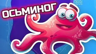 Животные - Морские обитатели - Осьминог