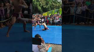 Performance Of Khmer Boxing #shortvideo #boxing #people