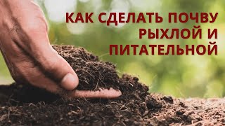 Как повысить плодородие почвы, чтобы почва стала питательнее чем чернозём?!