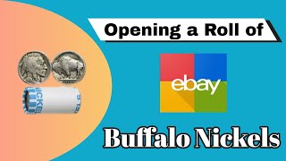 Unboxing a Roll of Buffalo Nickels? Let's Discover What's Inside!