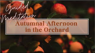 Autumnal Cozy Journey: Apple Orchards & Pumpkin Fields