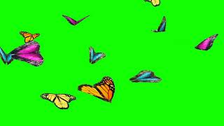 Free Green Screen Flying Butterfly | Green Screen Butterfly | Flying Butterfly Green Screen