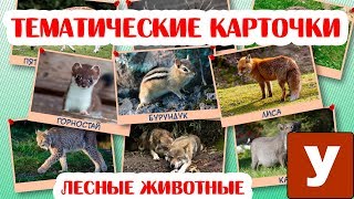 Карточки для детей "Лесные животные" Учим новые слова