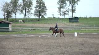 Grace Memorial Day 2014 Dressage Show - Intro B test