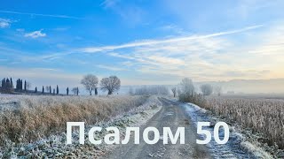 Псалом 50  - молимся об отпущении грехов, даровании прощение, чистоте мыслей, прозрении и защите