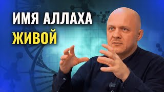 Может ли Неживой Создать Жизнь?