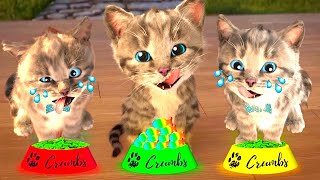 Animated Little Kitten friends Adventure - Preschool and kindergarten learning Cartoon #1141